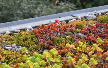 the cost of West Burnside green roof installation