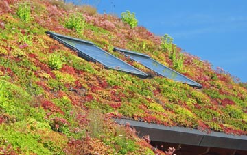 West Burnside living roof systems