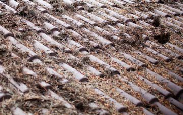 West Burnside roof cleaning companies