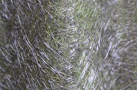 West Burnside fibreglass roof work